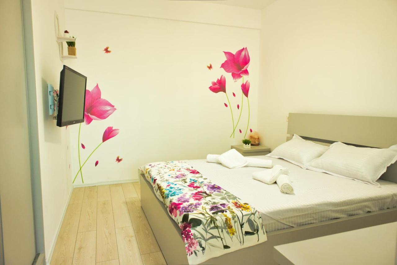 בראשוב Cozy Flowers Studio - Fast Wi-Fi & Washer-Dryer מראה חיצוני תמונה